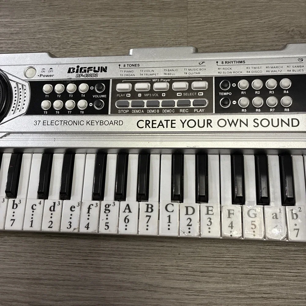 Big Fun Children Electronic Keyboard With Microphone For Musical Practice VZNK